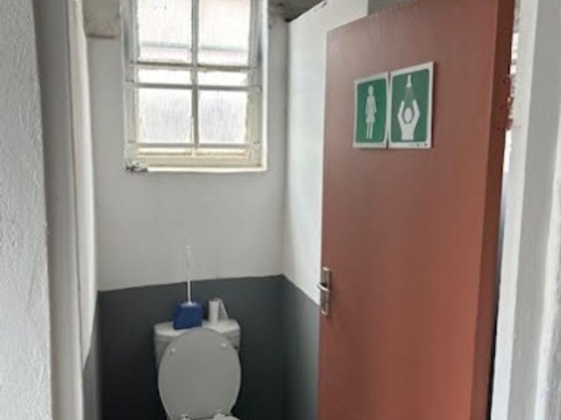 A small, functional office restroom featuring a standard toilet, window, and painted wall finishes in need of maintenance.