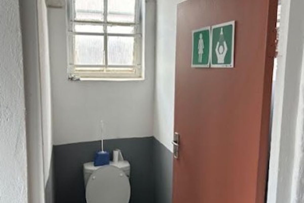 A small, functional office restroom featuring a standard toilet, window, and painted wall finishes in need of maintenance.