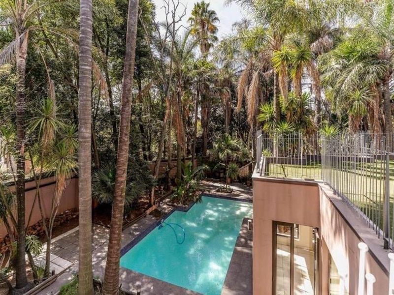 An elevated view of a private swimming pool area surrounded by mature trees, paved decking, and secure metal perimeter fencing.
