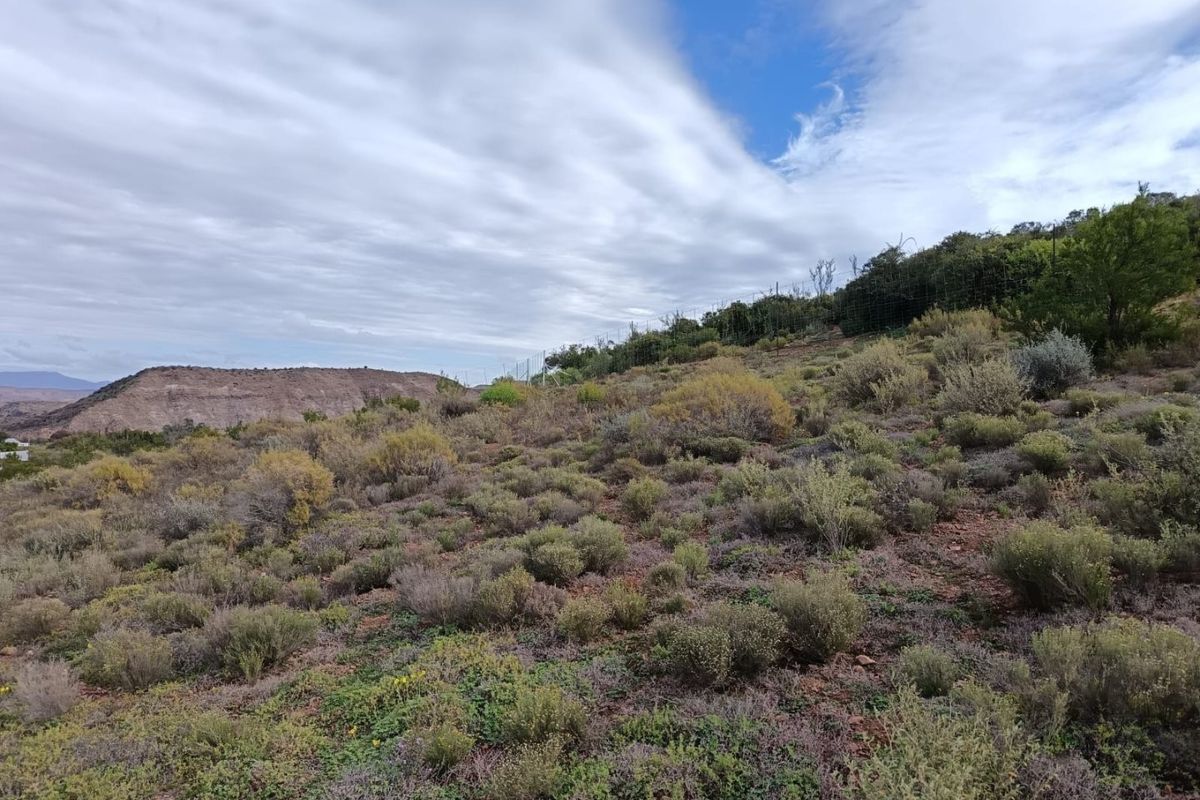 A view of the sloping vacant residential land featuring native scrub vegetation and perimeter wire mesh fencing under a cloudy sky.