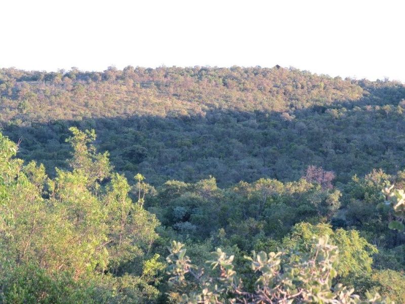 A scenic view of the natural hilly landscape and dense native vegetation surrounding the vacant residential property.