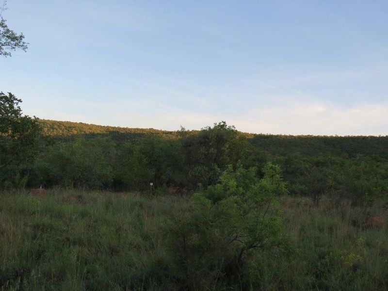 A scenic view of the natural landscape featuring indigenous vegetation and rolling hills on the vacant residential property.