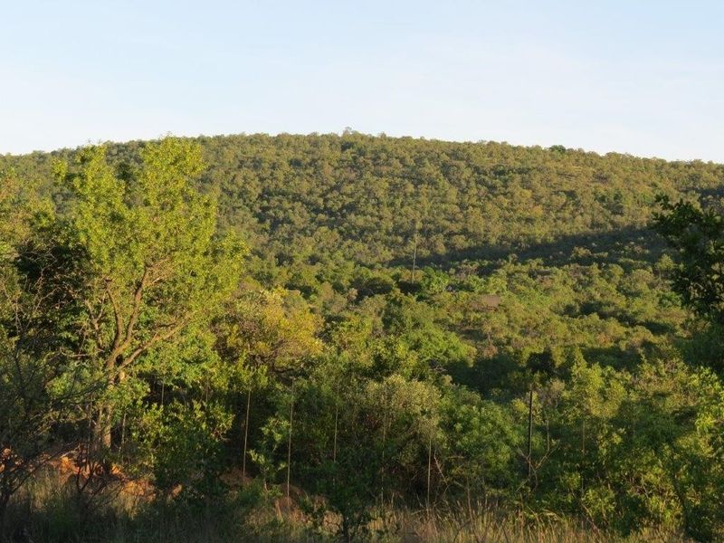 A scenic view of a lush, green, hilly landscape featuring dense natural vegetation and trees.