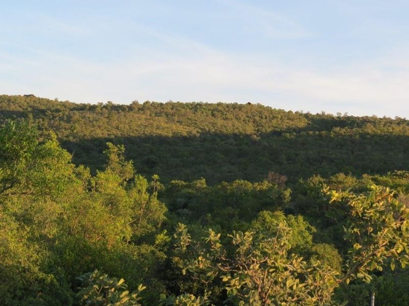 A scenic view of a lush, green, tree-covered hillside landscape under a clear sky.