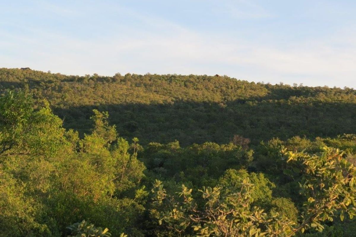 A scenic view of a lush, green, tree-covered hillside landscape under a clear sky.