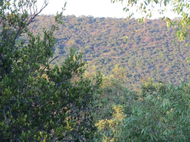 A scenic view of a lush, tree-covered hillside landscape, showcasing the natural beauty and topography of the surrounding area.