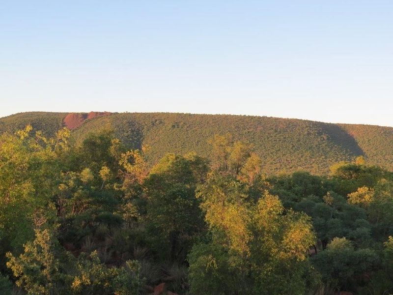 A scenic view of the natural landscape featuring native vegetation and rolling hills under a clear sky.