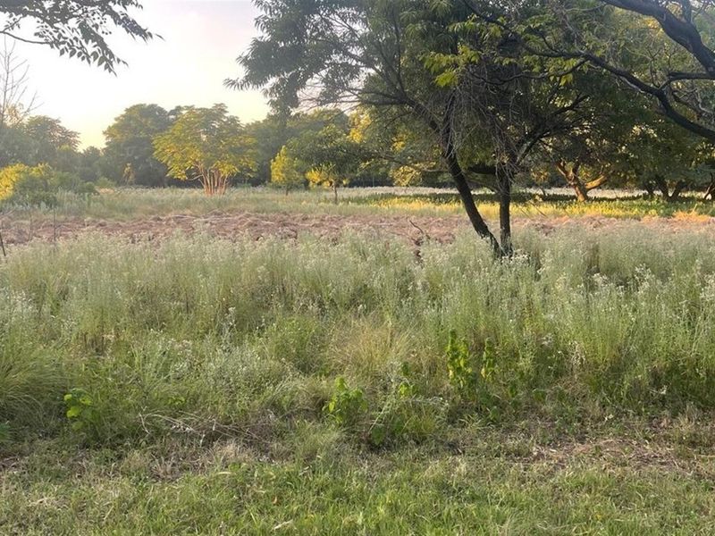 A view of a vacant commercial land plot featuring mature trees and a partially cleared area, suitable for future development.