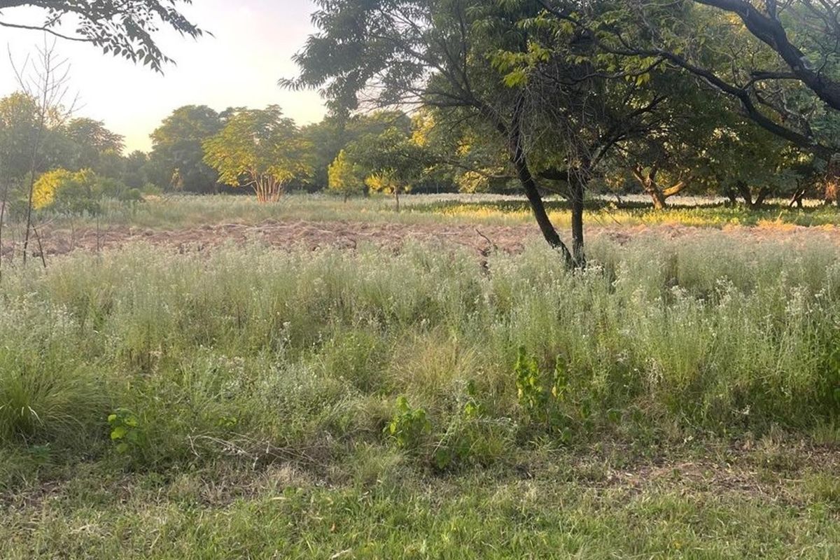 A view of a vacant commercial land plot featuring mature trees and a partially cleared area, suitable for future development.
