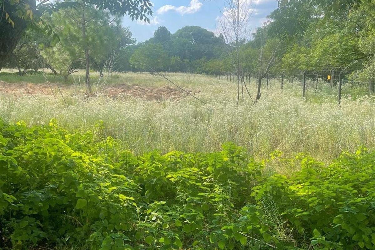 A view of the undeveloped commercial land featuring natural vegetation, mature trees, and perimeter wire mesh fencing.