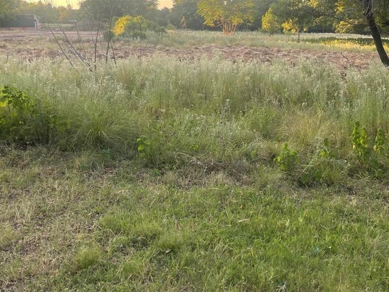 A view of an undeveloped plot of land featuring natural grassland and mature trees.
