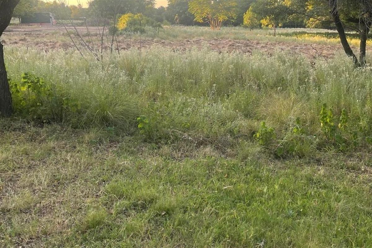 A view of an undeveloped plot of land featuring natural grassland and mature trees.
