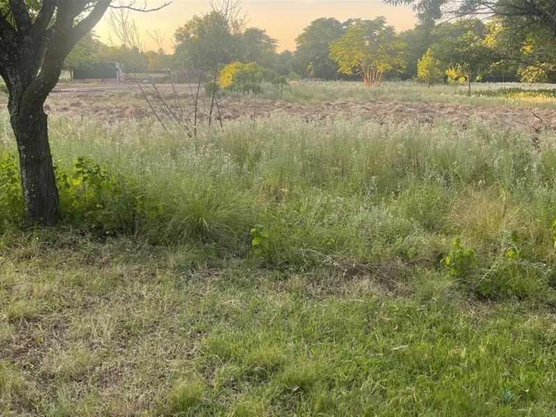 A view of a vacant commercial land plot featuring mature trees and open, cleared ground suitable for development.