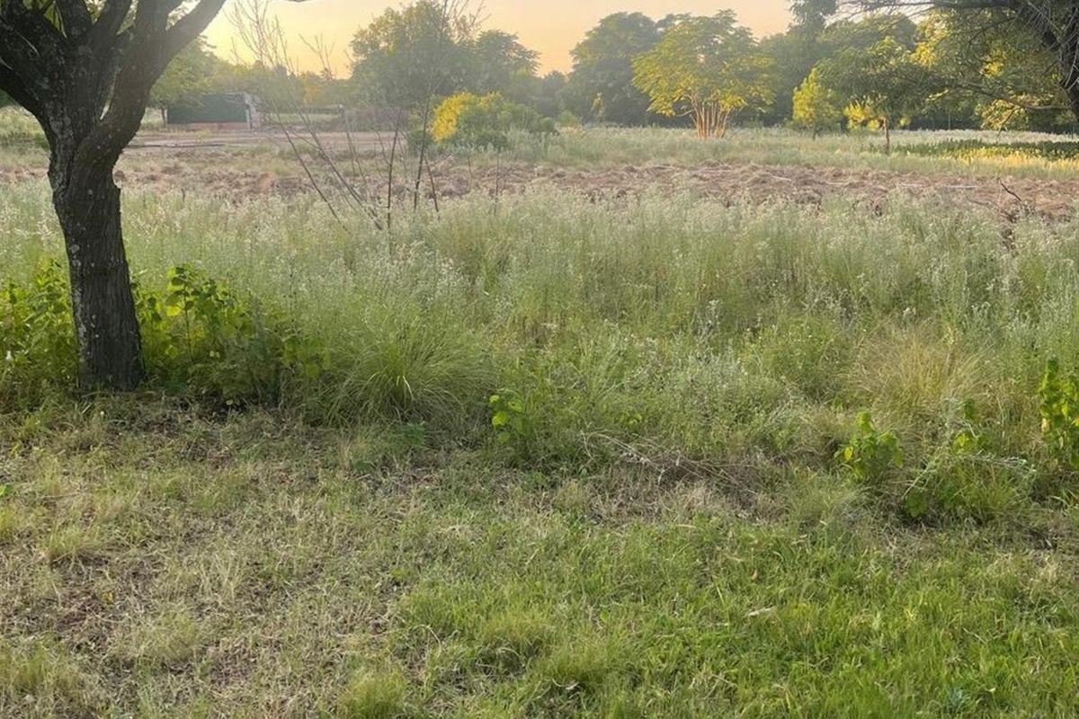 A view of a vacant commercial land plot featuring mature trees and open, cleared ground suitable for development.