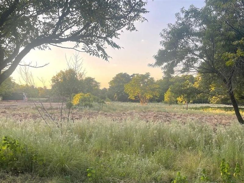 A view of a vacant commercial land plot featuring mature trees and cleared ground, suitable for future development.