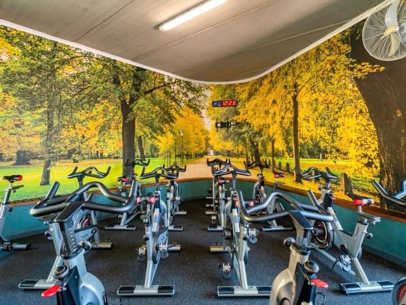 A dedicated gym space featuring a large nature-themed wall mural, wall-mounted fans, and overhead fluorescent lighting.
