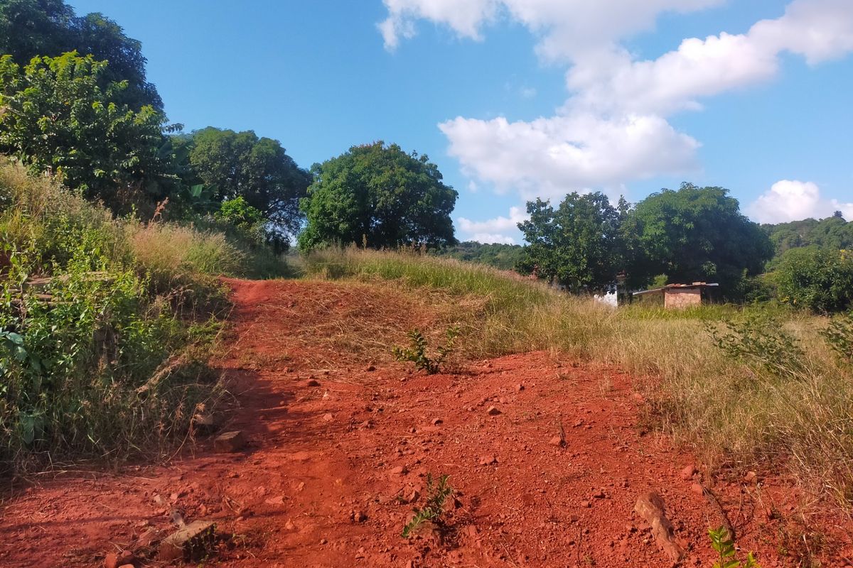 A view of an undeveloped residential plot featuring natural terrain, native trees, and a dirt access path under a clear blue sky.