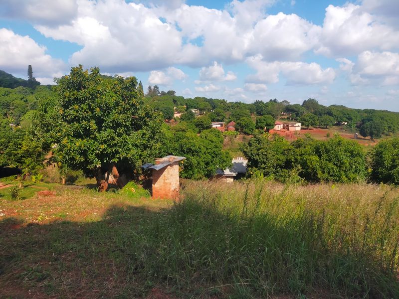 A scenic view of a rural landscape featuring mature trees, open grassy terrain, and a small existing masonry structure.