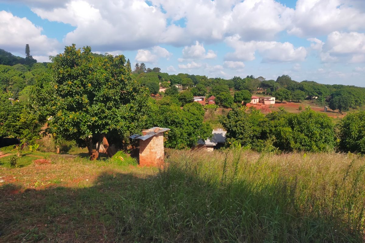 A scenic view of a rural landscape featuring mature trees, open grassy terrain, and a small existing masonry structure.