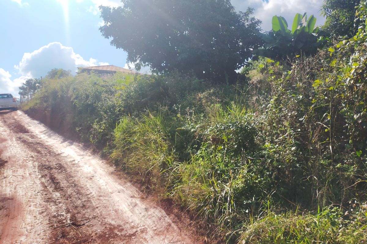 A view of an unpaved dirt road leading to a residential property, surrounded by dense natural vegetation.