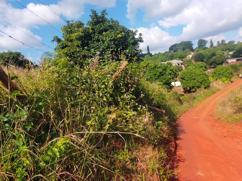 A view of a rural dirt road bordered by overgrown vegetation and a damaged barbed wire fence in a residential area.