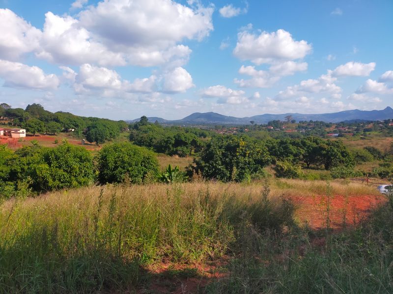 A scenic view overlooking a natural landscape with mature trees, rolling hills, and distant mountains under a clear blue sky.