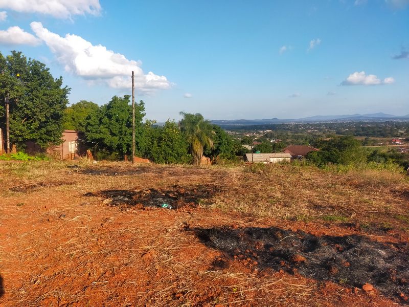 An elevated view of a vacant residential plot featuring natural vegetation, mature trees, and distant landscape vistas.