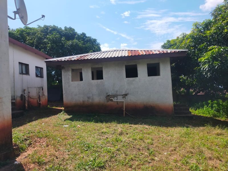 Rear view of a detached outbuilding featuring a corrugated metal roof and concrete walls showing signs of wear and exterior maintenance requirements.