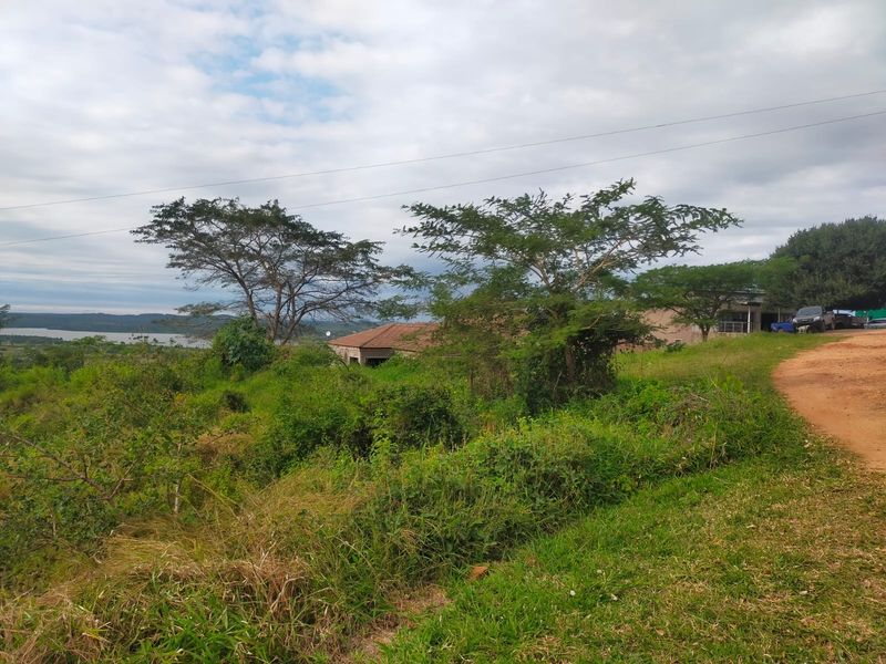 A view of the vacant residential land featuring native vegetation, a dirt access road, and distant landscape scenery.