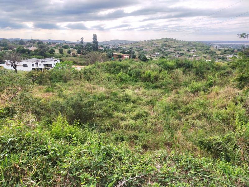 An elevated view of a vacant residential plot featuring natural vegetation with surrounding neighborhood landscape in the distance.