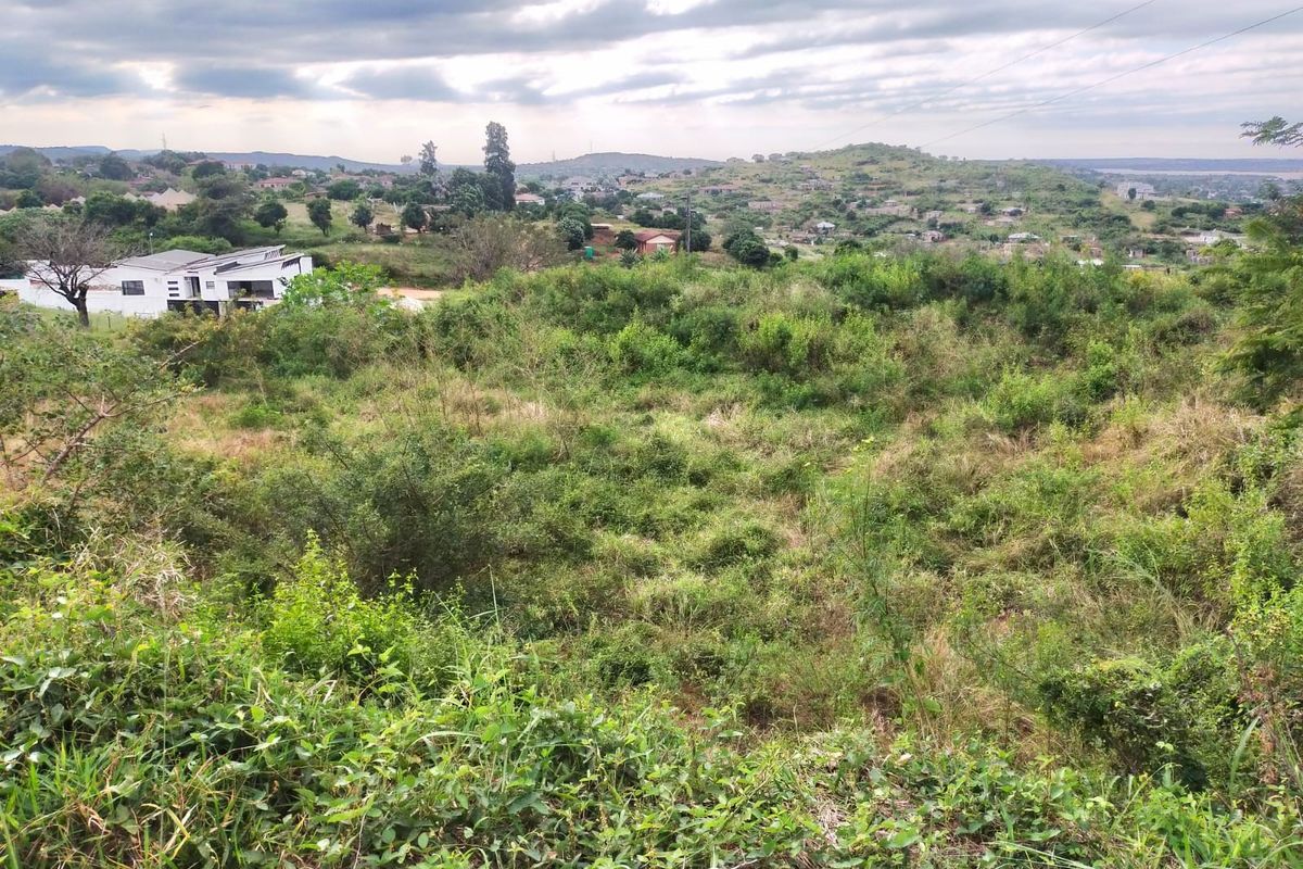 An elevated view of a vacant residential plot featuring natural vegetation with surrounding neighborhood landscape in the distance.