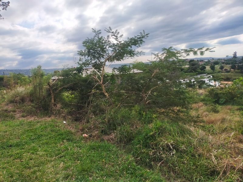 A view of the vacant residential land featuring natural vegetation, trees, and grass, with surrounding neighborhood buildings visible in the distance.