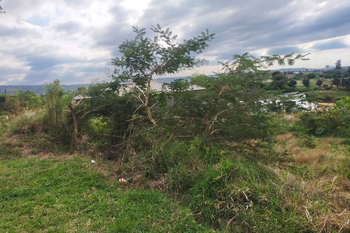 A view of the vacant residential land featuring natural vegetation, trees, and grass, with surrounding neighborhood buildings visible in the distance.