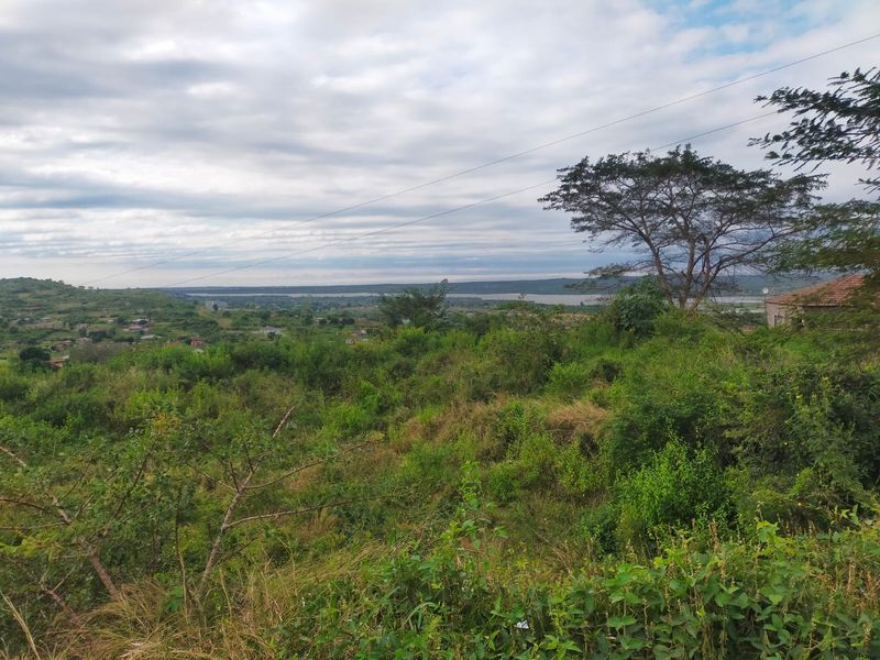 A scenic view overlooking a landscape with lush vegetation, distant residential areas, and a body of water under a cloudy sky.