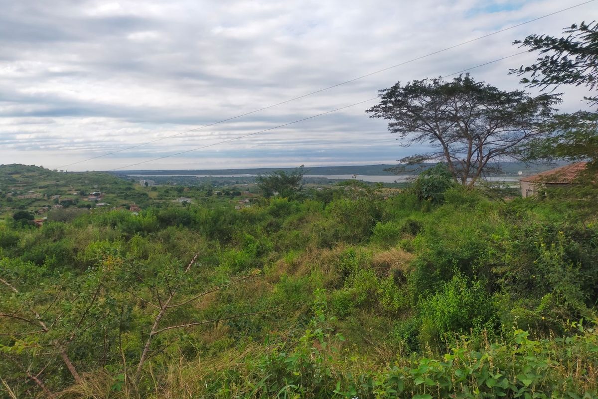 A scenic view overlooking a landscape with lush vegetation, distant residential areas, and a body of water under a cloudy sky.