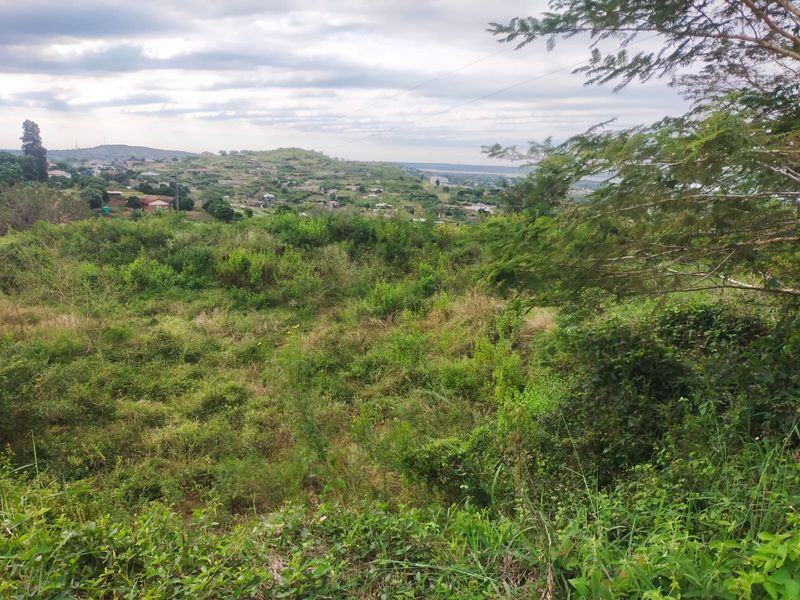 A scenic view overlooking a sloped, undeveloped residential plot with natural vegetation and distant hillside landscape.