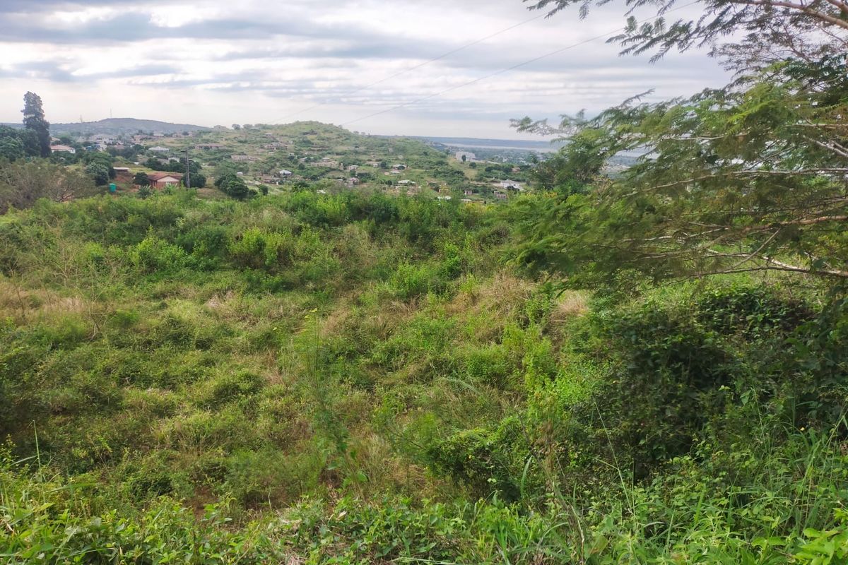 A scenic view overlooking a sloped, undeveloped residential plot with natural vegetation and distant hillside landscape.