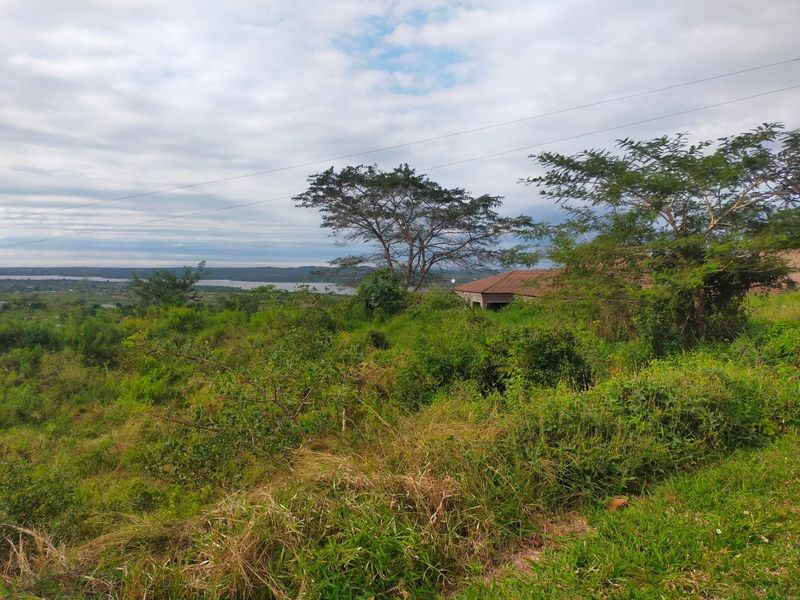 A scenic view overlooking a landscape with natural vegetation, distant water, and overhead power lines visible in the sky.
