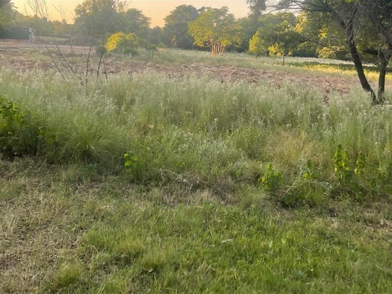 A view of an undeveloped plot of land featuring natural grassland and mature trees at sunset.