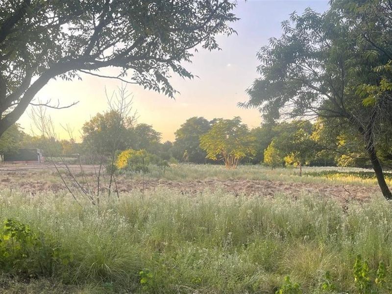 A view of a vacant commercial land plot featuring mature trees and open, cleared ground.