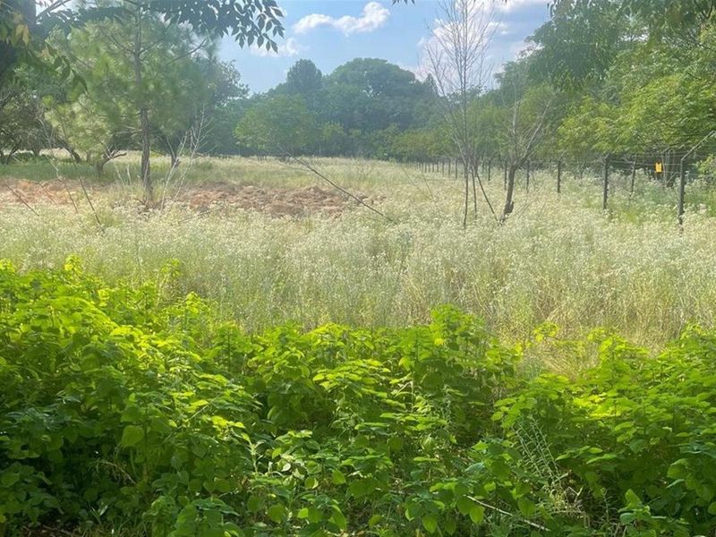 A view of a vacant commercial land plot featuring overgrown vegetation, mature trees, and perimeter wire fencing.