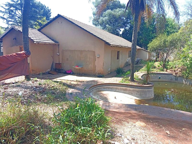 Rear exterior view of the property featuring a swimming pool, brick paving, and plastered walls requiring maintenance and landscaping.
