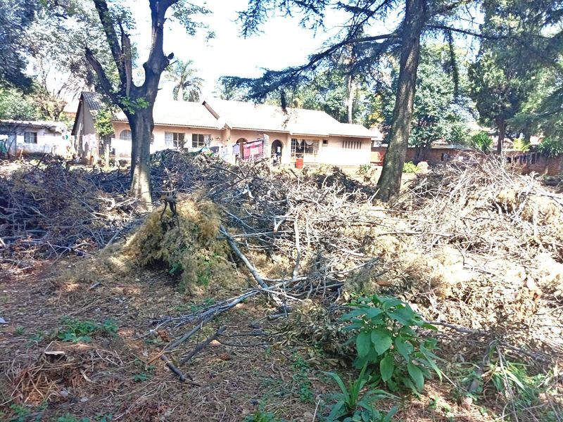 A rear view of the property showing the main building structure obscured by significant amounts of garden debris and overgrown vegetation.
