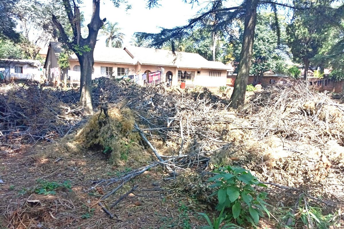 A rear view of the property showing the main building structure obscured by significant amounts of garden debris and overgrown vegetation.