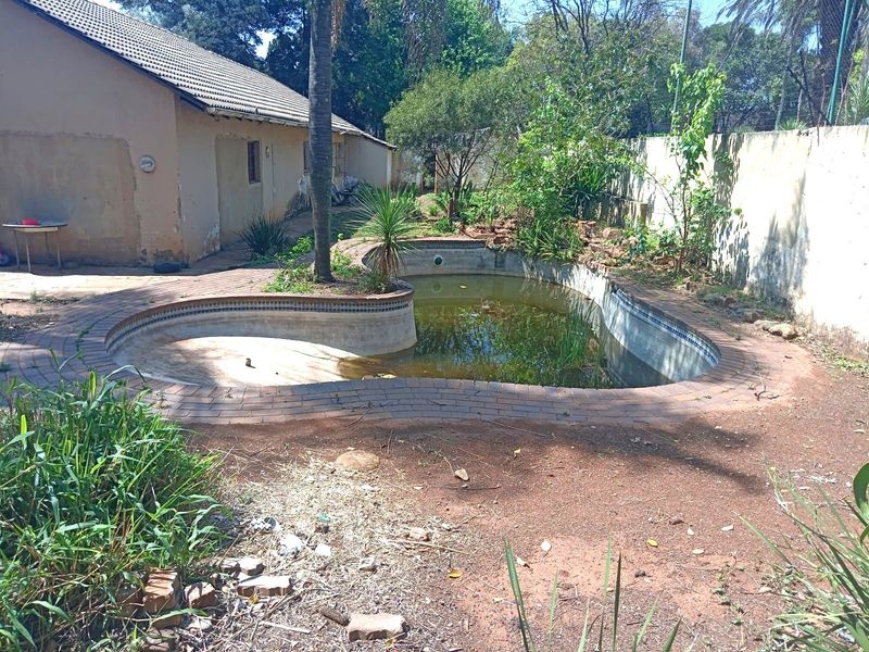 Outdoor pool area featuring a kidney-shaped swimming pool with brick paving, requiring significant maintenance and restoration to the pool structure and surrounding garden.
