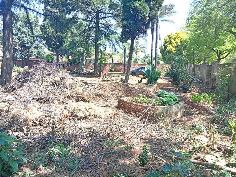 A large, overgrown garden area featuring mature trees, a brick boundary wall, and a raised garden bed, requiring significant landscaping and clearing.