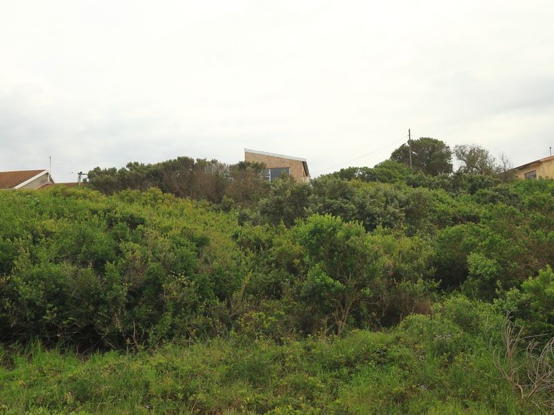 A view of a vacant residential plot covered in dense indigenous vegetation, showing the surrounding neighborhood context.