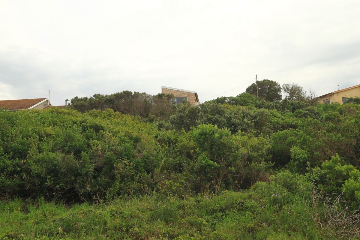 A view of a vacant residential plot covered in dense indigenous vegetation, showing the surrounding neighborhood context.