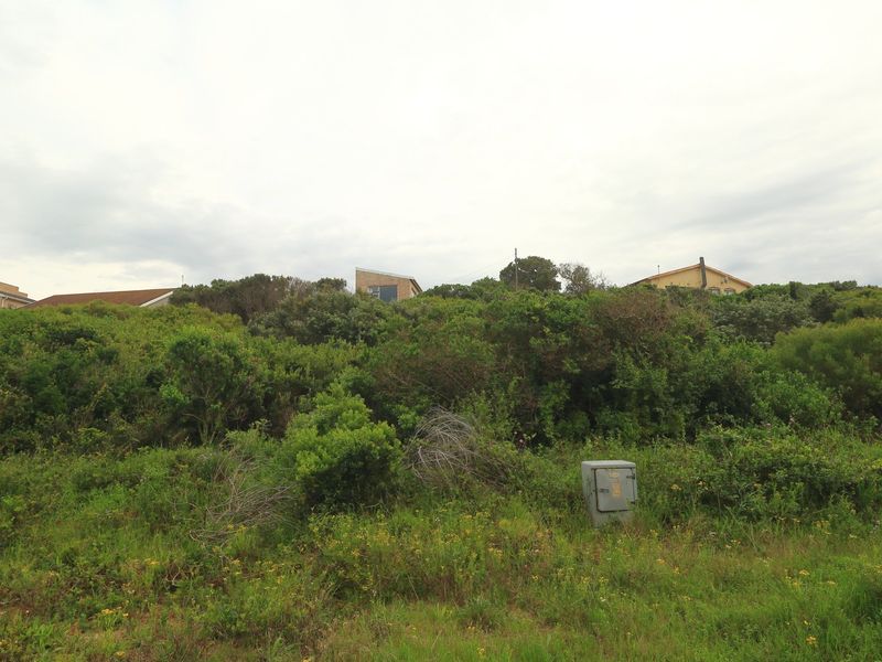 A view of a vacant residential plot featuring dense natural vegetation and an existing electrical utility connection point.