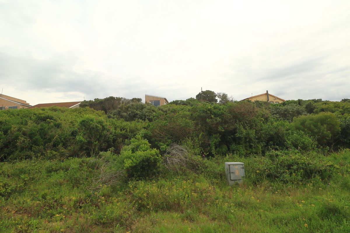 A view of a vacant residential plot featuring dense natural vegetation and an existing electrical utility connection point.
